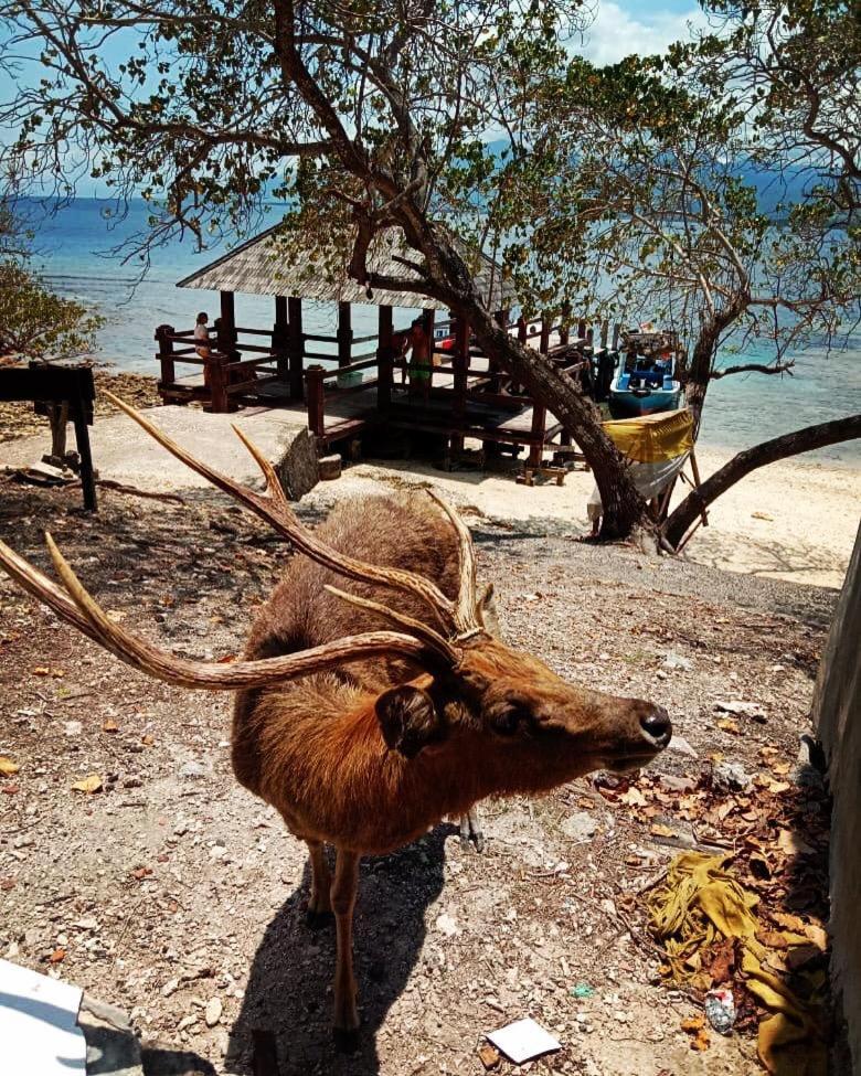 Badini Homestay Pemuteran  Ngoại thất bức ảnh